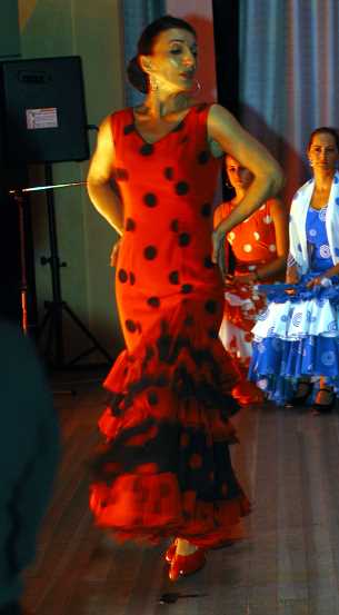 Images/flamenco05.jpg