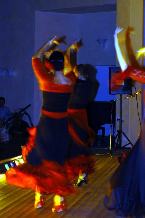 Images/flamenco06.jpg