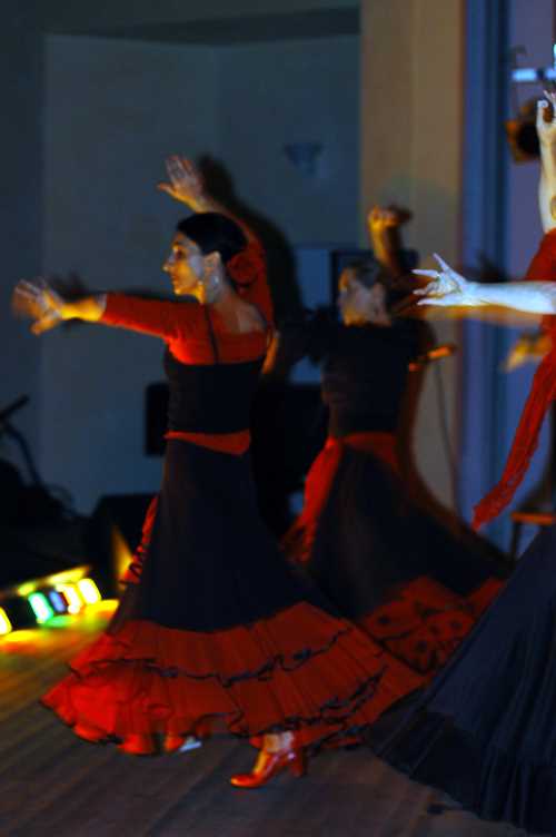 Images/flamenco07.jpg